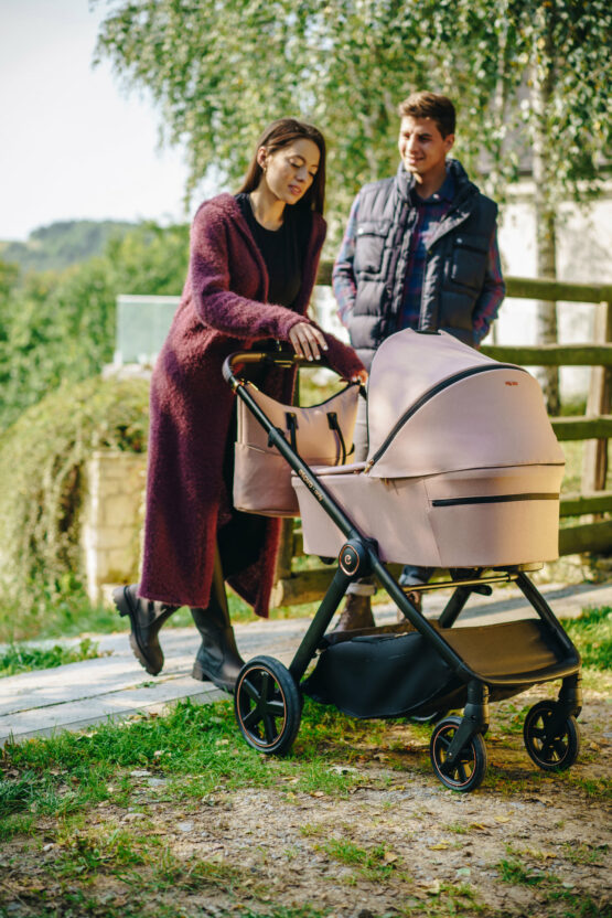 carucior 2 in 1 pentru copii