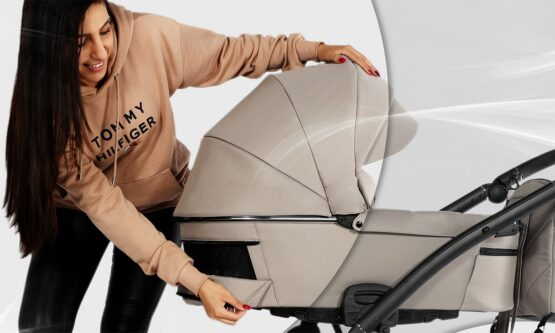 carucior 2 in 1 pentru copii