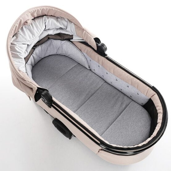 carucior 2 in 1 pentru copii