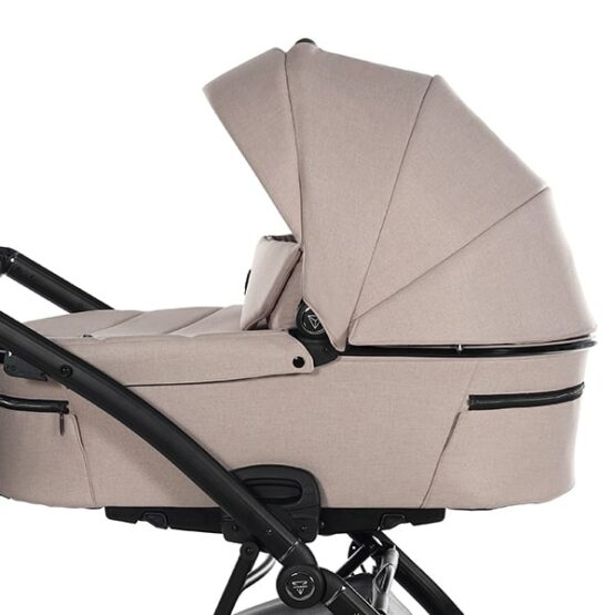 carucior 2 in 1 pentru copii