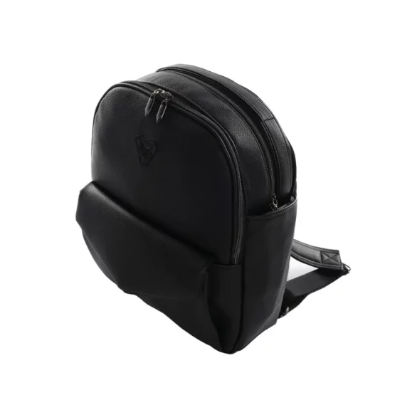 carucior 2 in 1 pentru copii