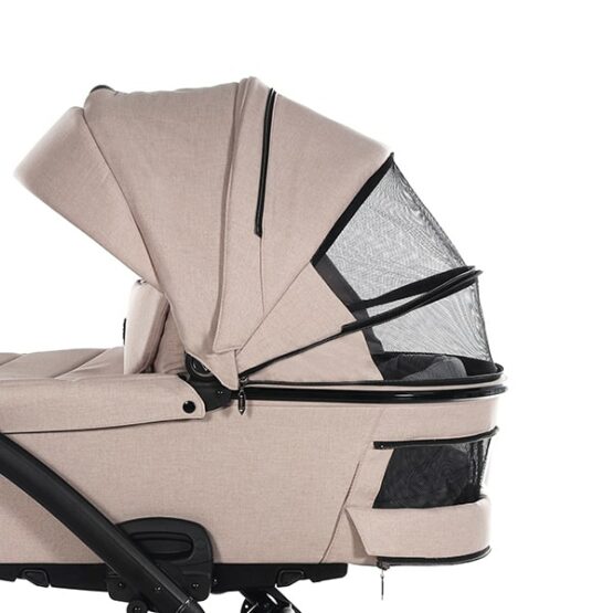 carucior 2 in 1 pentru copii