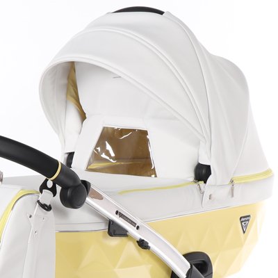 carucior 2 in 1 pentru copii