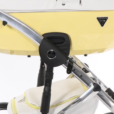 carucior 2 in 1 pentru copii