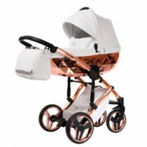 carucior 2 in 1 pentru copii