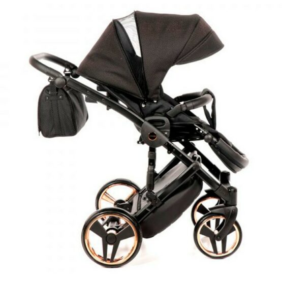 carucior 2 in 1 pentru copii