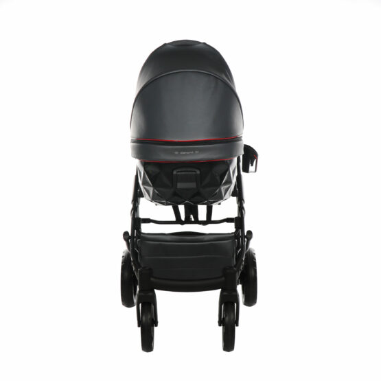 carucior 2 in 1 pentru copii