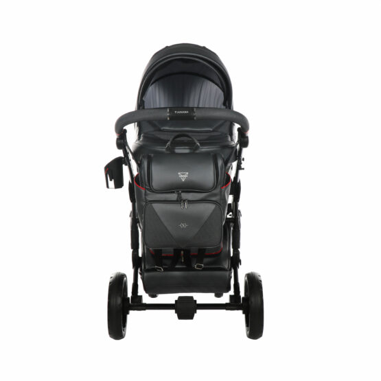 carucior 2 in 1 pentru copii