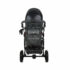 carucior 2 in 1 pentru copii