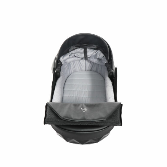 carucior 2 in 1 pentru copii