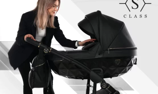 carucior 2 in 1 pentru copii