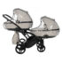 carucior pentru gemeni