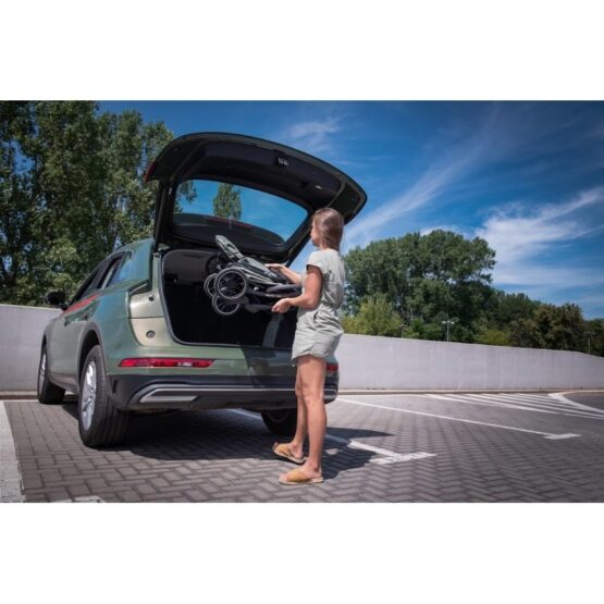 carucior de plimbare