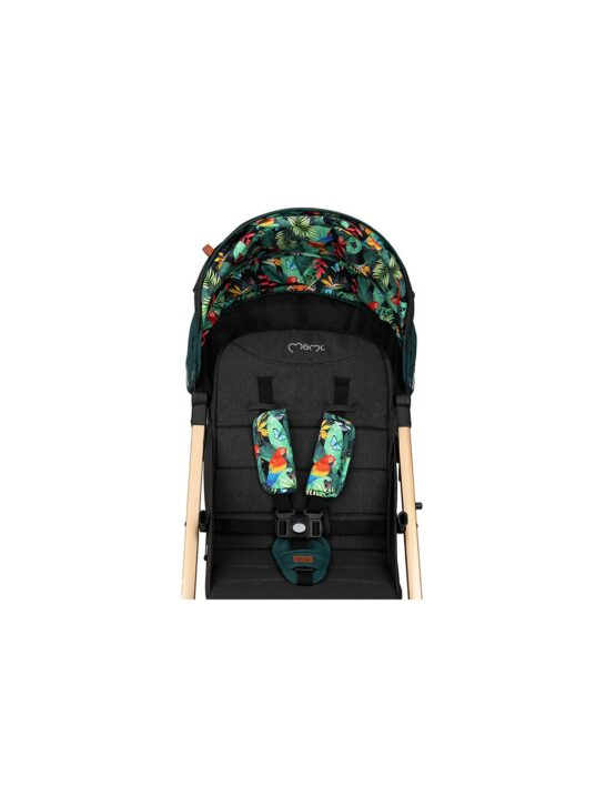 carucior pentru plimbare