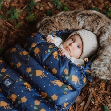 husa de iarna pentru carucior