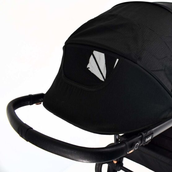 carucior 2 in 1 pentru copii