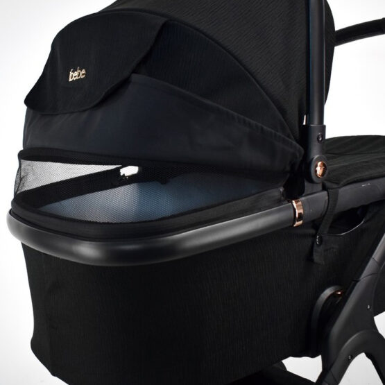 carucior 2 in 1 pentru copii