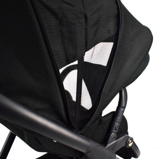 carucior 2 in 1 pentru copii