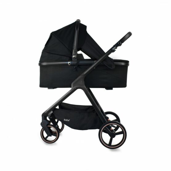 carucior 2 in 1 pentru copii