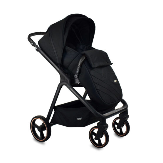 carucior 2 in 1 pentru copii