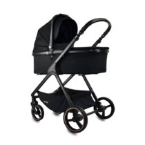 carucior 2 in 1 pentru copii