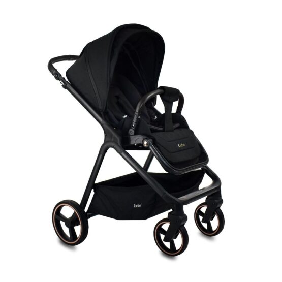 carucior 2 in 1 pentru copii