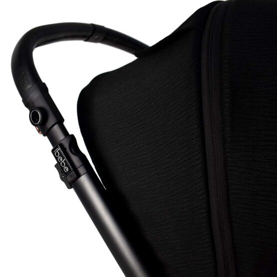 carucior 2 in 1 pentru copii