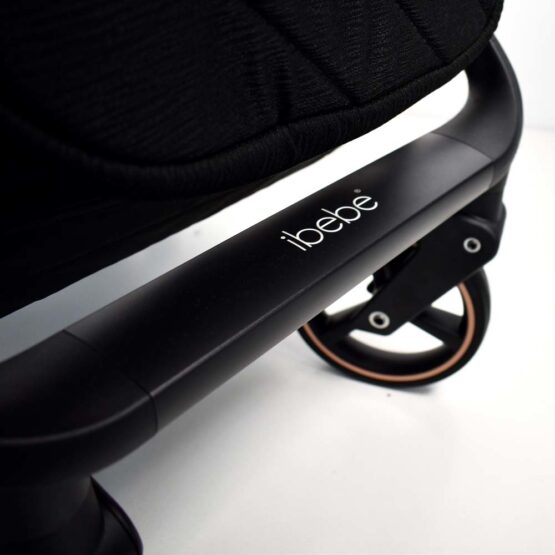 carucior 2 in 1 pentru copii