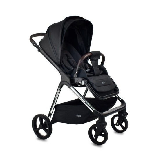 carucior 2 in 1 pentru copii