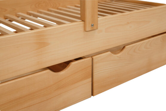 1B510-2-Patut-AURORA-natura