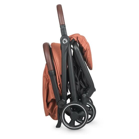 Coccolle-Lemira-Coral