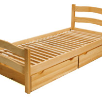 1B410-2-Patut-Paris-natural