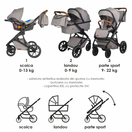 Coccolle-Nessia-2023-Lunar-Rock