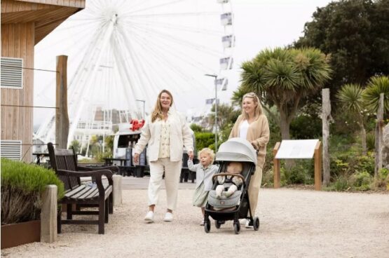 Carucior ultracompact Joie Parcel Signature Eclipse