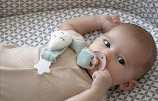 Lant pentru suzeta din material textil BabyJem Menta