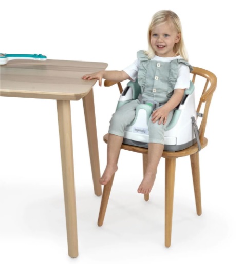 Scaun de masa 2 in 1 Bright Starts Ingenuity Mist