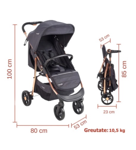 Carucior-3-in-1-BabyGo-Style-Black-Rose