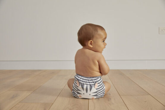 Scutec reutilizabil (zebră)