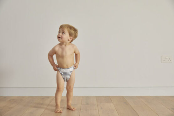 Scutec reutilizabil (zebră)