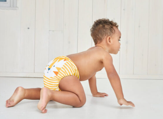 Scutec reutilizabil (tigru)