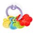 Jucarie dentitie BabyJem Rattle Teether Violet