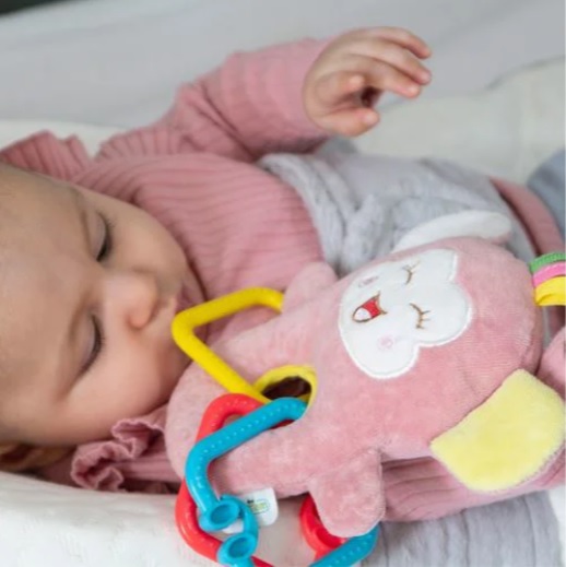 Jucarie din plus cu inele dentitie BabyJem Funny Monkey Roz