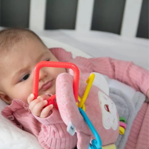 Jucarie din plus cu inele dentitie BabyJem Funny Monkey Roz