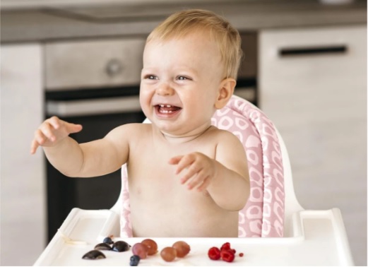 Pernuta pentru scaun de masa BabyJem Chair Cushion Roz