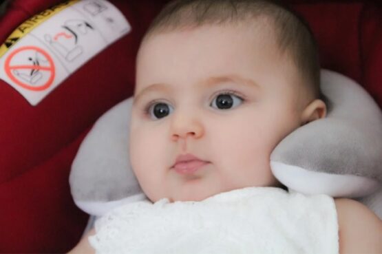 Salteluta reductor pentru scaun auto si carucior BabyJem Thermal