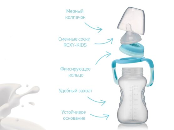 Biberon Roxy Kids 260ml, cu flux rapid, 6+ (RBTL-003)