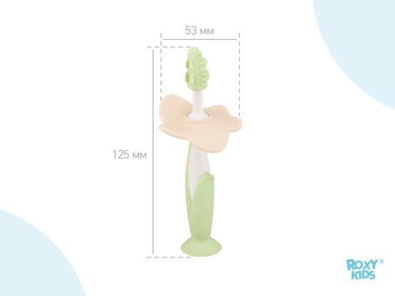 Set periuta de dinti+ perie de masaj, Mint (RTB-002)