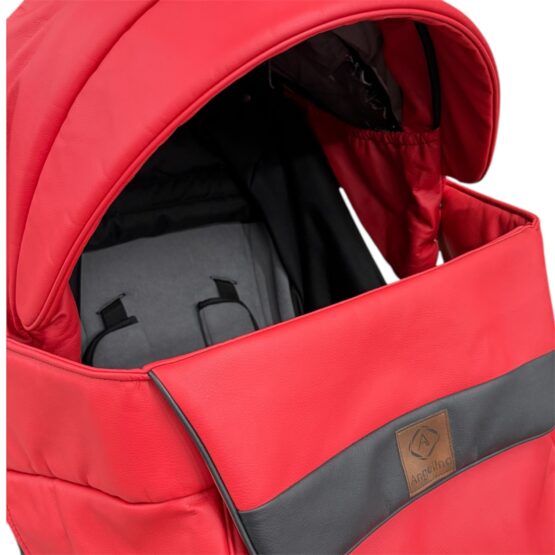 Carucior pentru copii 2 in 1 Angelina