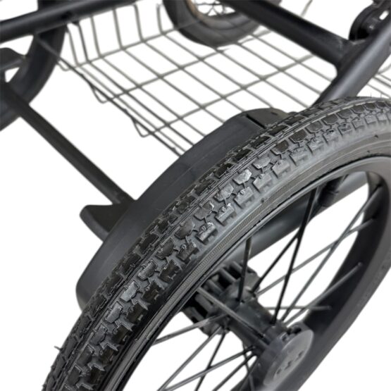 Carucior pentru copii 2 in 1 Angelina