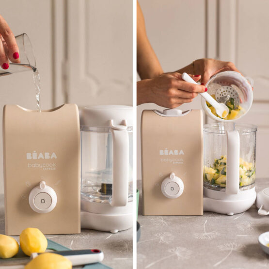 Robot Beaba Babycook Express Clay Earth B916302